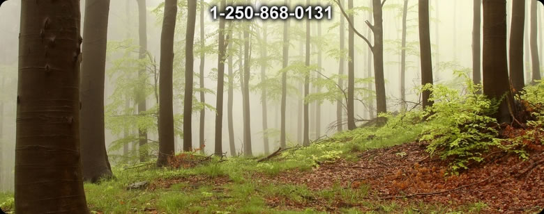 Bushcraft Canada photo