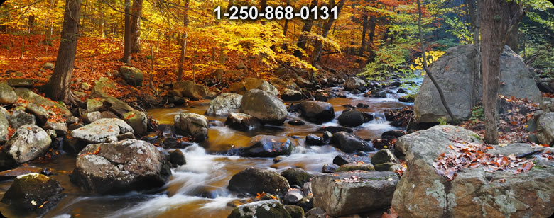 Bushcraft Canada photo