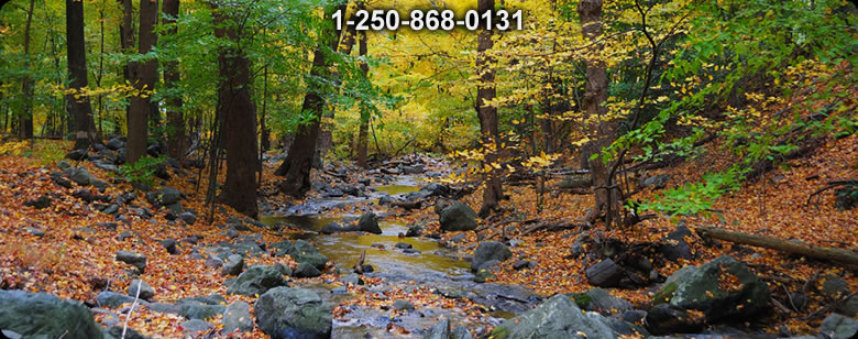 Bushcraft Canada photo