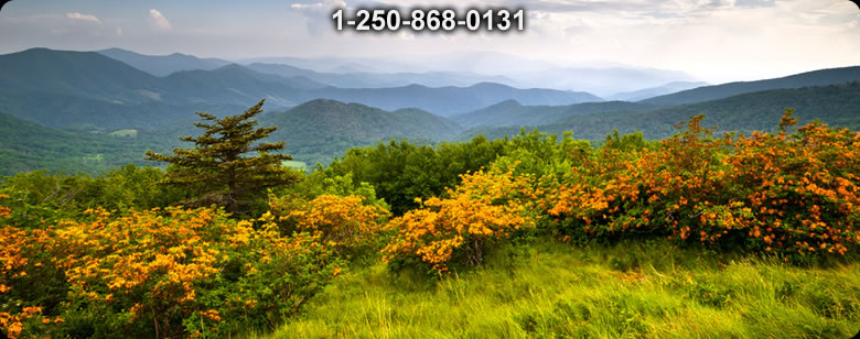 Bushcraft Canada photo