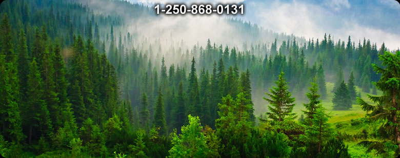 Bushcraft Canada photo