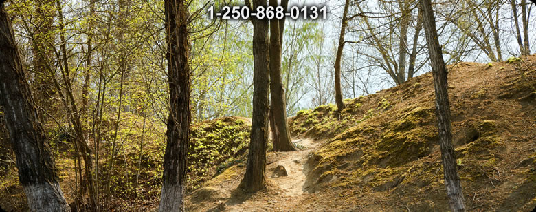 Bushcraft Canada photo