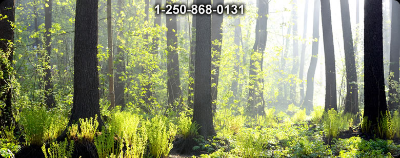 Bushcraft Canada photo