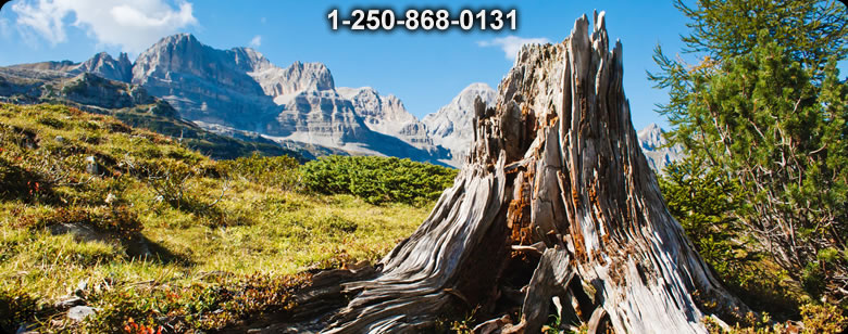 Bushcraft Canada photo