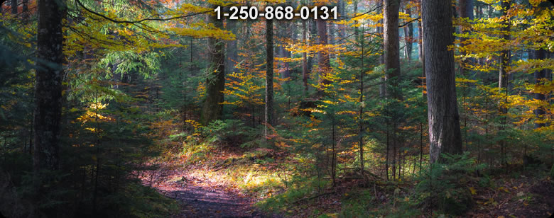 Bushcraft Canada photo