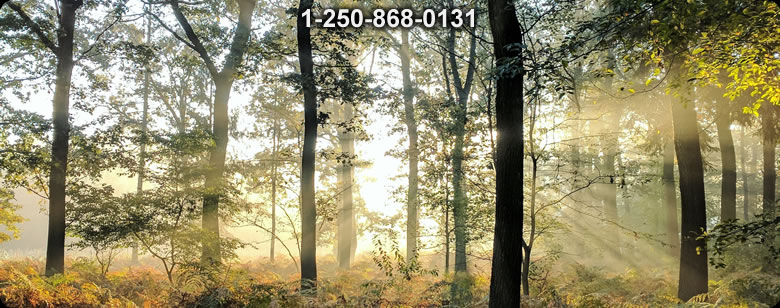 Bushcraft Canada photo