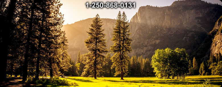 Bushcraft Canada photo