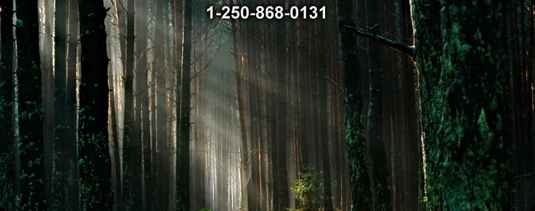 Bushcraft Canada photo