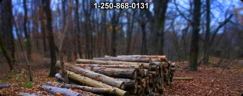 Bushcraft Canada photo