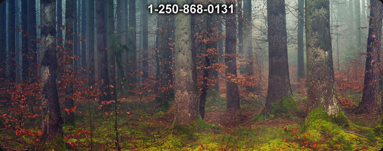 Bushcraft Canada photo